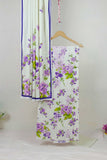 3PC-Embroidered Linen Suit RG46